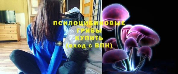индика Белоозёрский