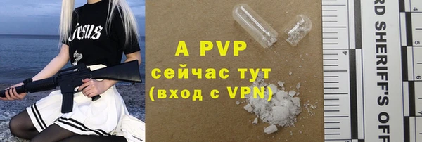 индика Белоозёрский