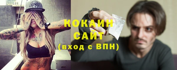 крисы Богородицк