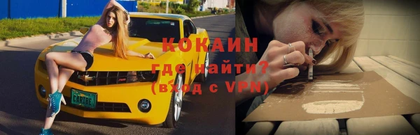 крисы Богородицк
