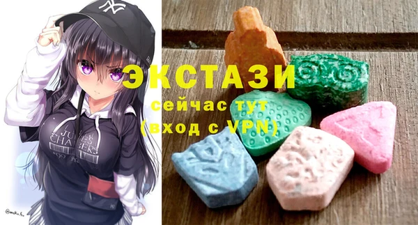 крисы Богородицк