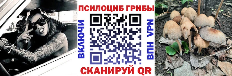 Псилоцибиновые грибы мицелий Билибино